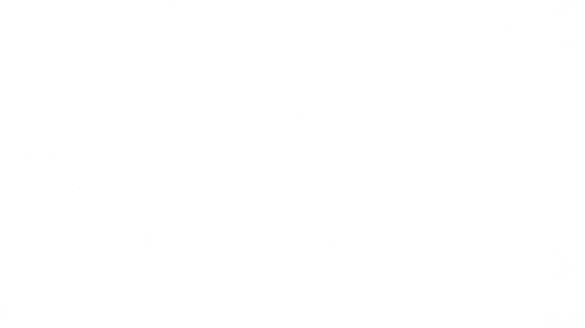 bg-pattern